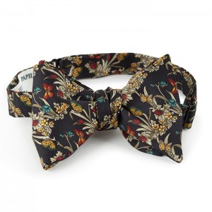L'insecte - Noeud papillon